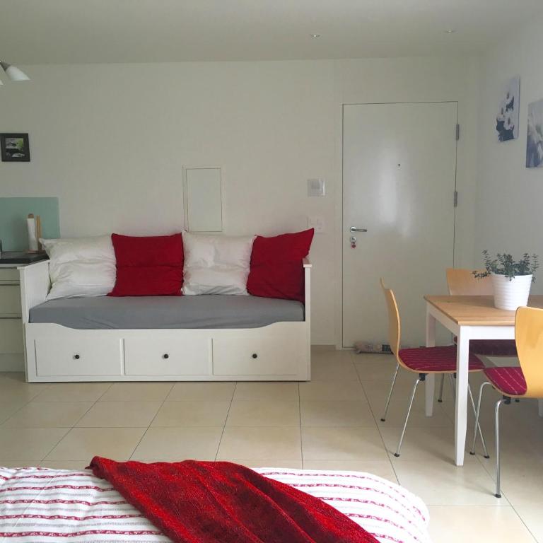 Charming Studio near Rotsee Lucerne Kitchen, WiFi, Washing machine - Apartment - 4