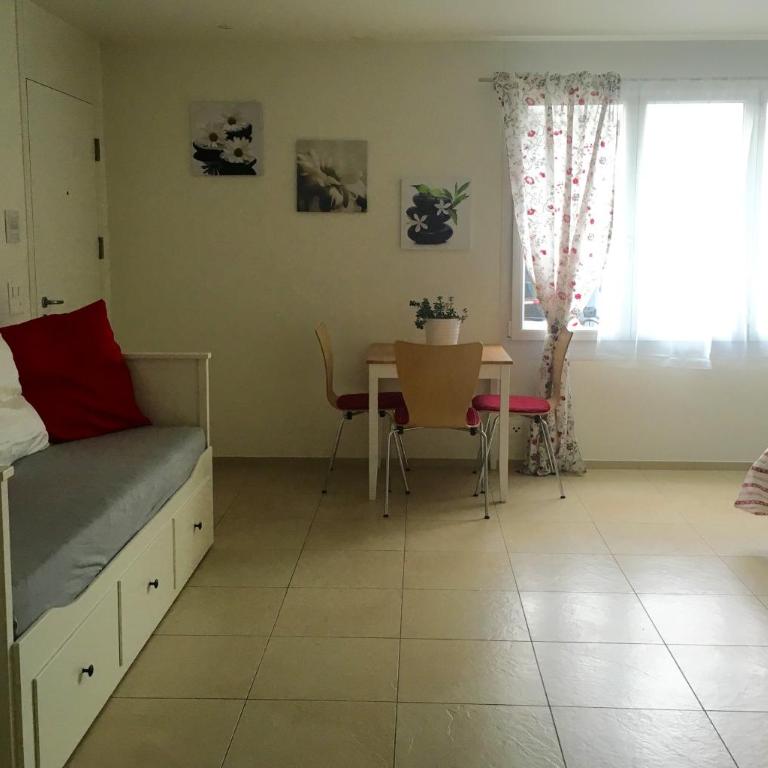 Charming Studio near Rotsee Lucerne Kitchen, WiFi, Washing machine - Apartment - 9