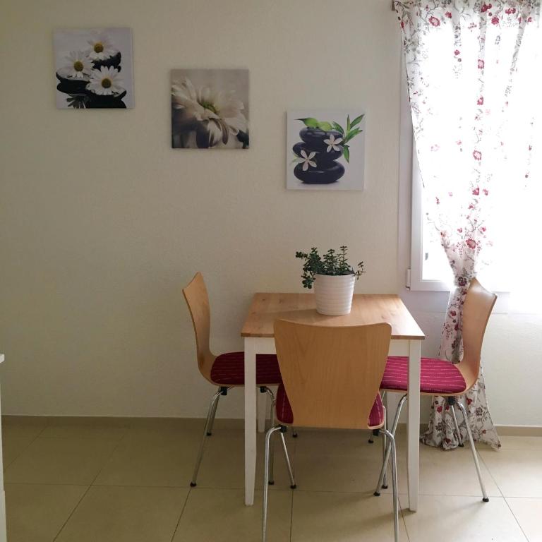 Charming Studio near Rotsee Lucerne Kitchen, WiFi, Washing machine - Apartment - 10