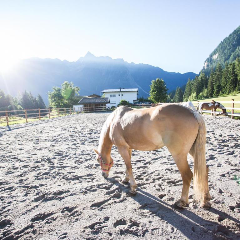 Ferienhaus Oetztal - Haus mit 3 Schlafzimmern - 7