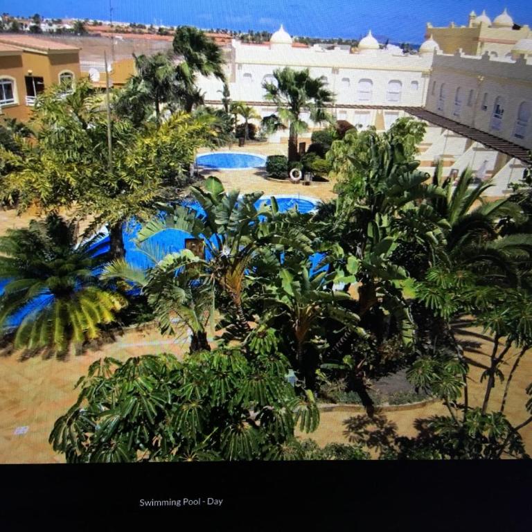El Sultan 4 - Villa - 22