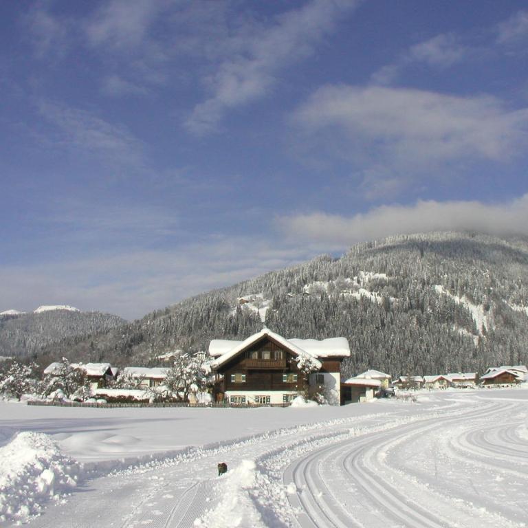 Haus Pfeiffenberger - Apartment with up to 3 bedrooms and terrace - 22