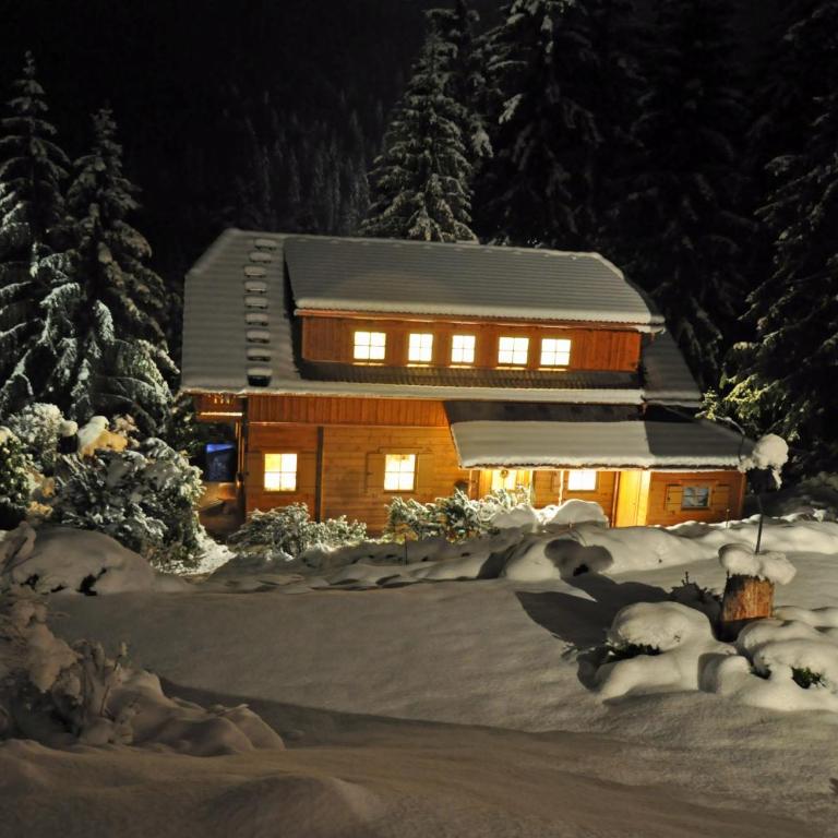 Chalet Styria - Ferienhaus - 2
