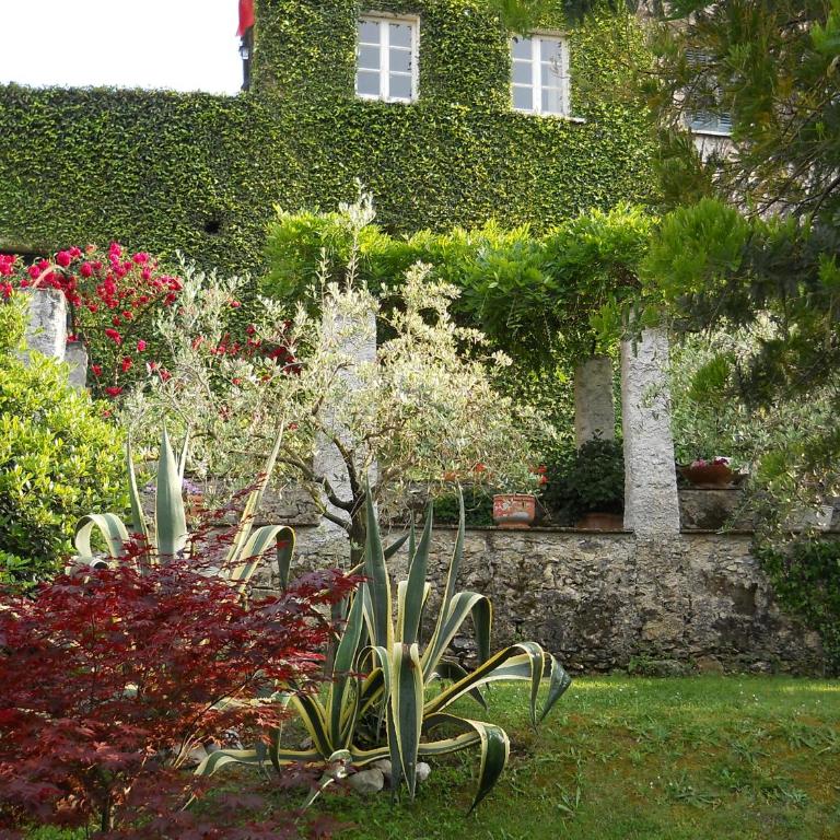 I Glicini - Casa Vacanze - 8