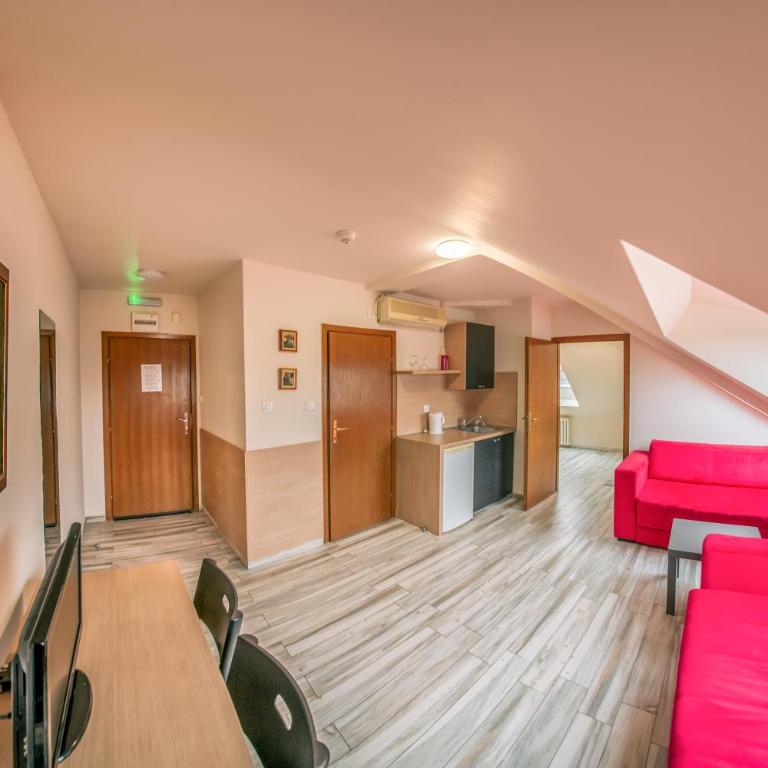 Veliki Garni Hotel - Apartman sa 1 Spavaćom Sobom - 3