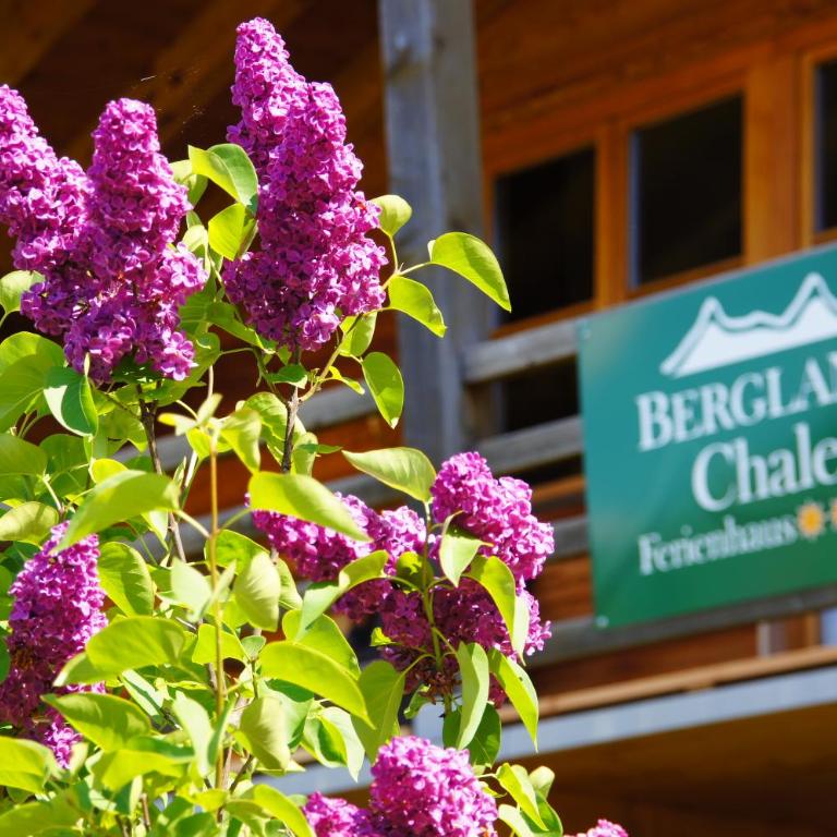 "Viktoria Chalet" - Annehmlichkeiten vom 4-Sterne Familien-und Wellnesshotel Viktoria nebenan können mitbenutzt werden - Chalet - 28