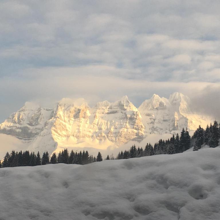 Chalet LYS Apartment 14 Rue Sigma - Apartment - 25