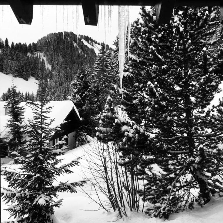 Chalet LYS Apartment 14 Rue Sigma - Apartment - 24