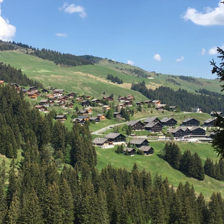 Chalet LYS Apartment 14 Rue Sigma - Apartment - 27