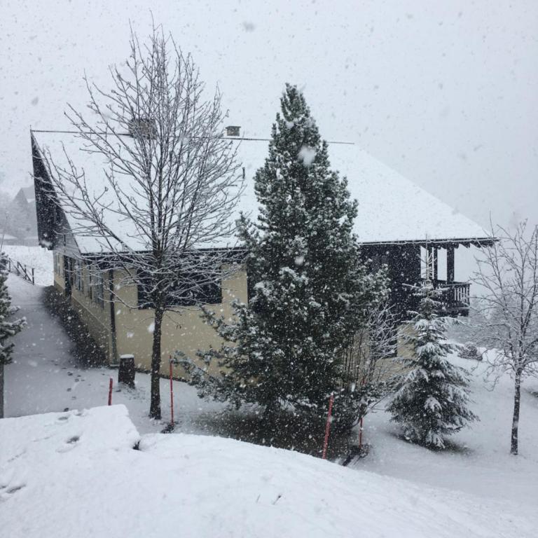 Chalet LYS Apartment 14 Rue Sigma - Apartment - 22
