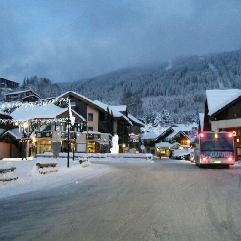 Chalet Cyclamens, 65m2 plein centre - Jardin, WIFI & parking! - Apartment - 25