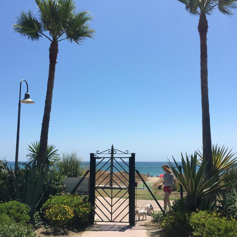Costalita beach - Apartamento con terraza - 17