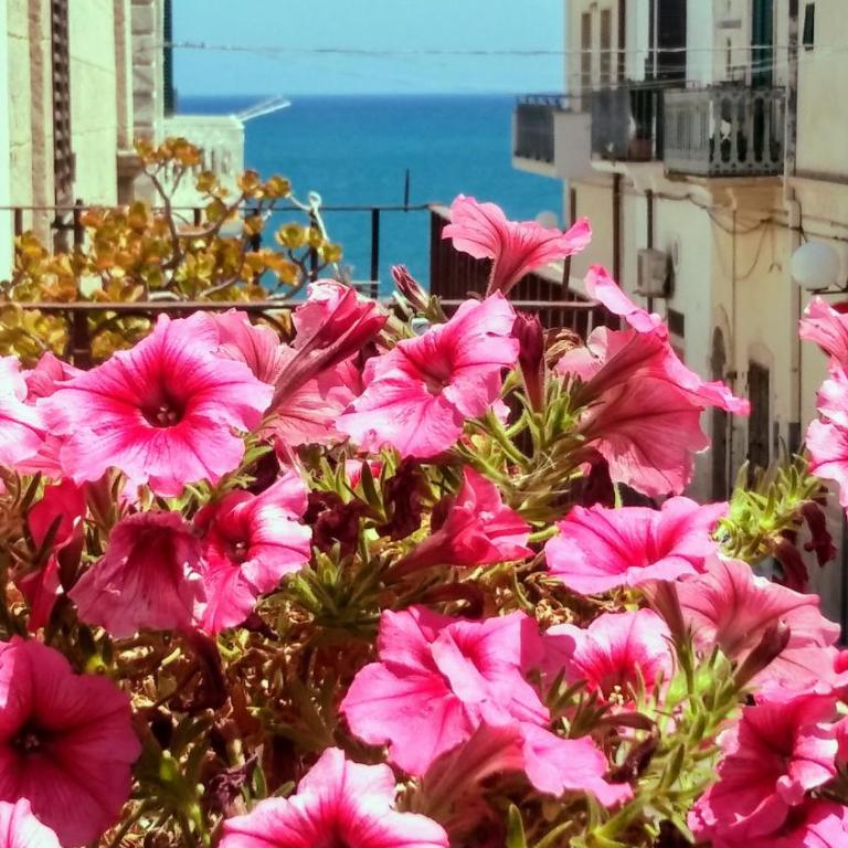 Torres Suite - Suite con Terrazza - 38