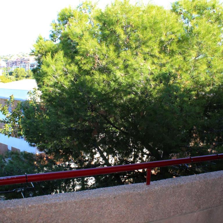 Apartamento con parking gratuito - Apartment - 19