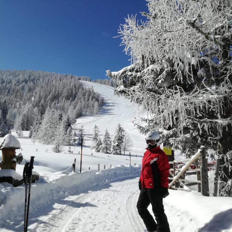 Marktlhütte - Chalet - 90