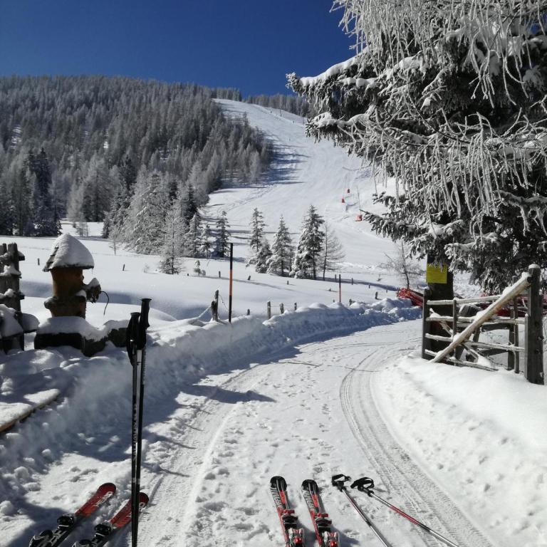 Marktlhütte - Chalet - 92