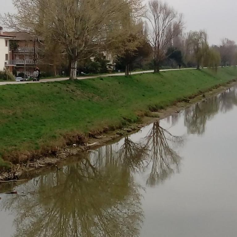 Vicino al Prato della Valle Park Free ! intero appartamento parcheggio facile di fronte - Appartamento con Vista Lago - 23