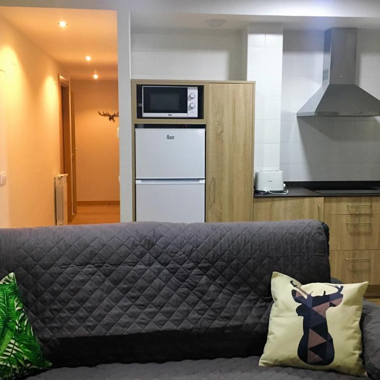 Apartamentos Maladeta - Apartamento de 2 dormitorios - 13