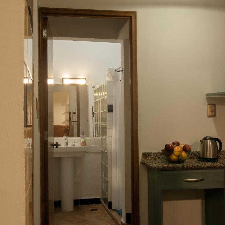 Chalet del Carmen, Coyoacán - One-Bedroom Apartment - 5
