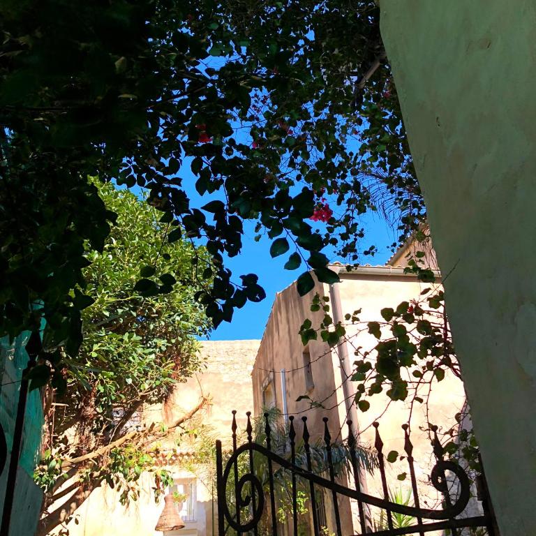 Residence Ortigia - Superior Apartment - 13