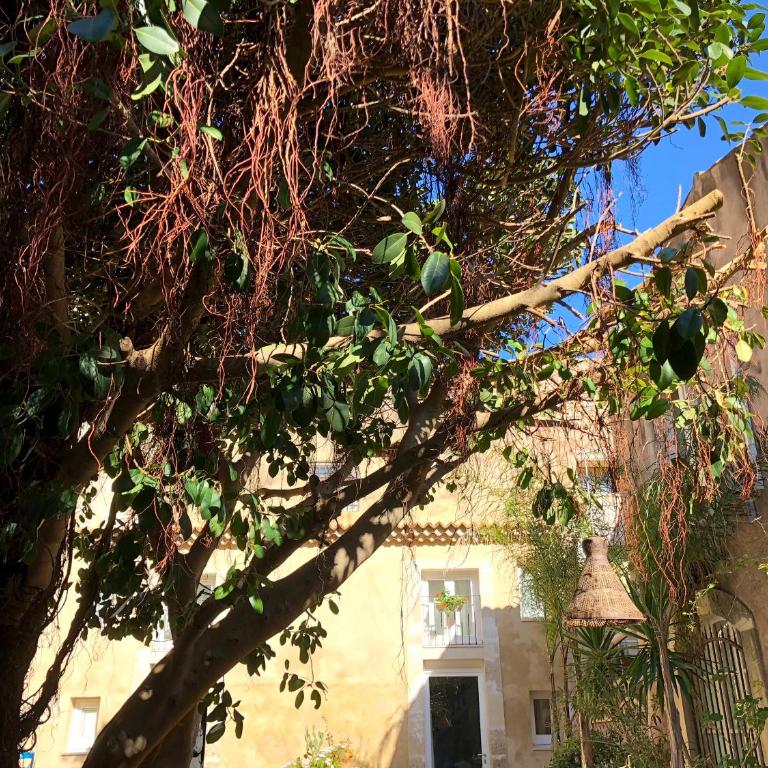 Residence Ortigia - Deluxe Apartment - 17