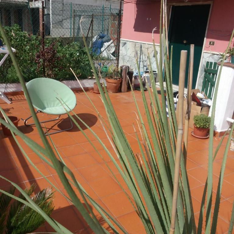 Canoa Quebrada - Appartamento - 37