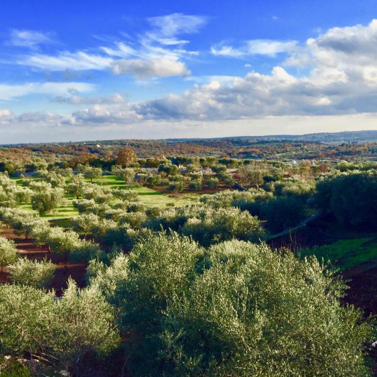 Trulli Casalina - Casa Vacanze - 19
