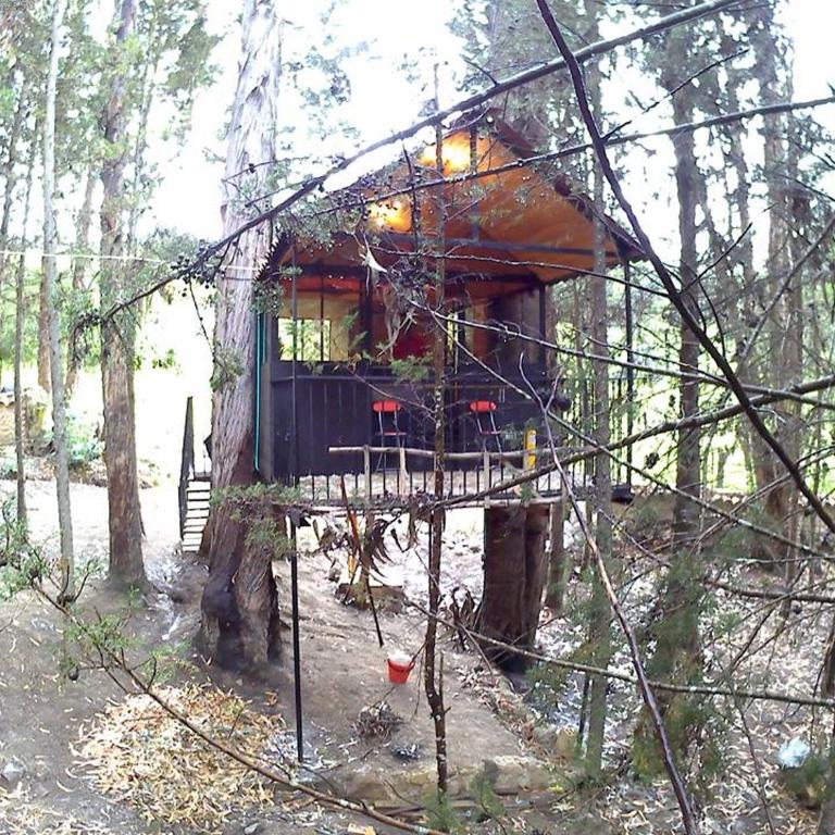Casa En El Arbol - Casa - 5