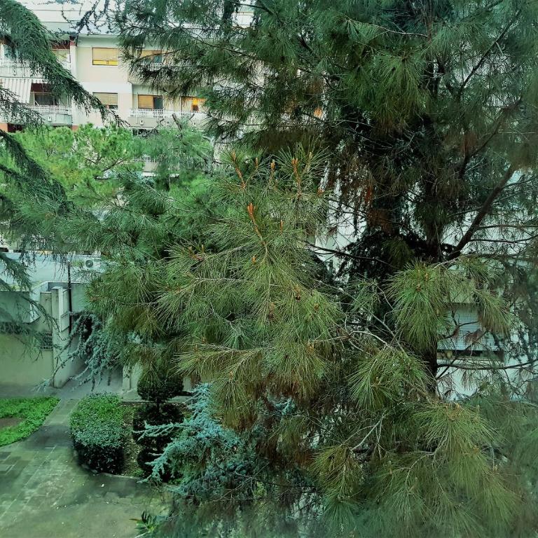 Holiday B&B 1984 - Double Room with Garden View - 10