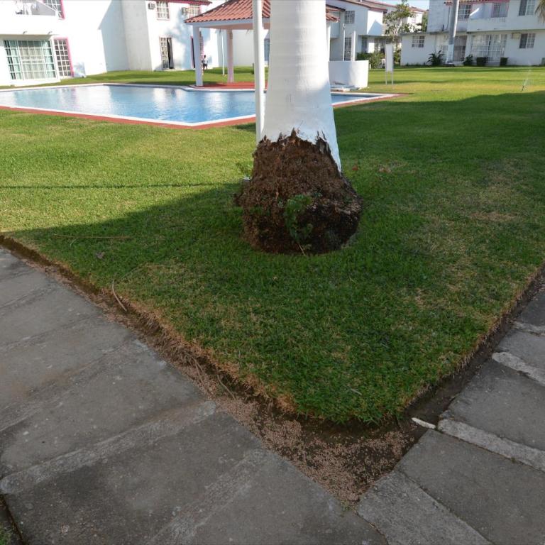HominngBird Acapulco - Villa de 3 dormitorios - 19