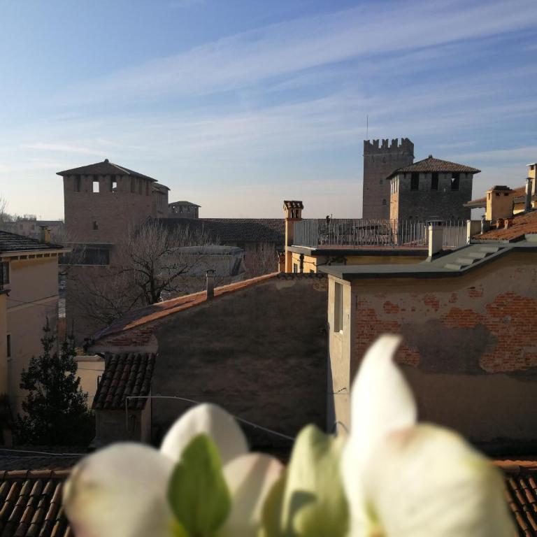 Rooms Castelvecchio - Palazzo Canossa - Appartamento Standard - 6