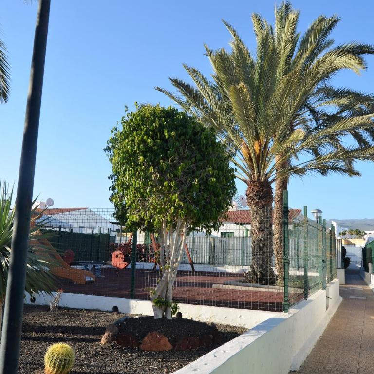 Bungalow ACK - Apartamento - 40