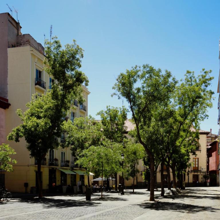 San Miguel Aparment by Flatsweethome - Apartamento - 25