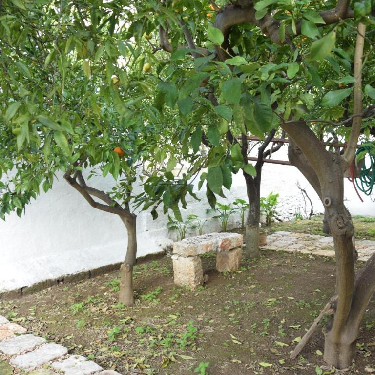 Dimora Le Zagare - Appartamento - 70