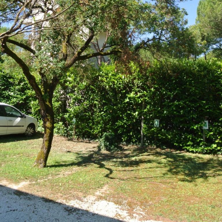 Ca del Portegheto - Appartamento con 2 Camere da Letto - 9