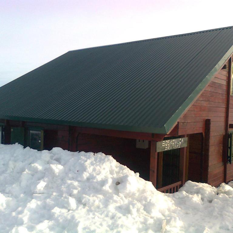 Boskovica Brvnare - Three-Bedroom Chalet - 11