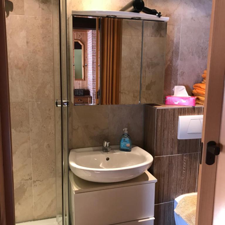 Reitbauernhof Schartner - Appartement avec Douche - 6
