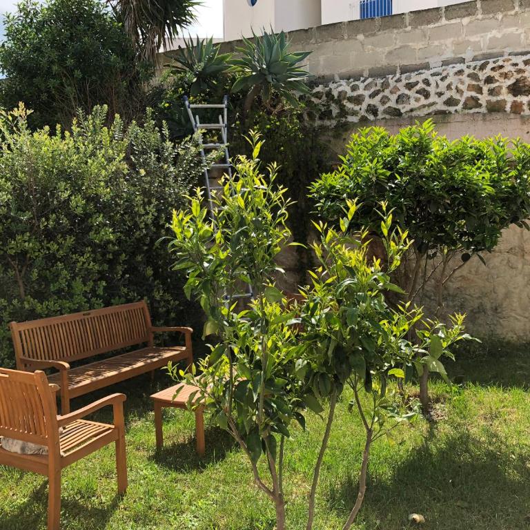 La Casa del Limoneto - Camera Matrimoniale con Vista Giardino - 1
