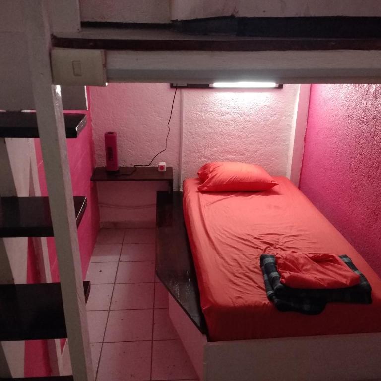 Iguana Hostel Oaxaca - Cama en habitación compartida con 4 camas - 12