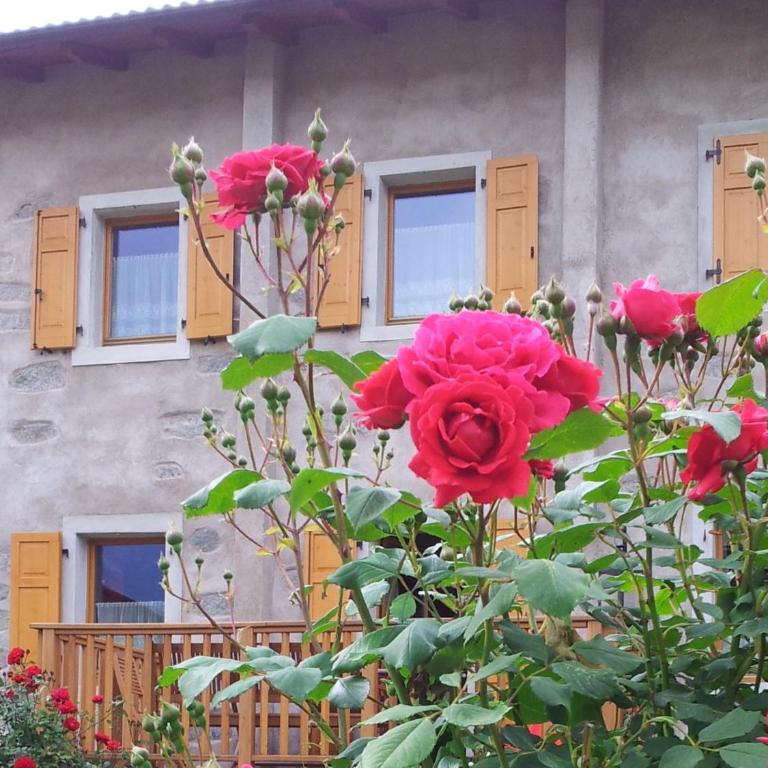 Ferienhaus Irene, Fiave - Appartamento - 6