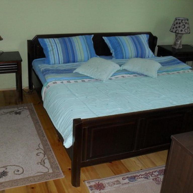 Golubović Apartments - One-Bedroom Apartment - 1