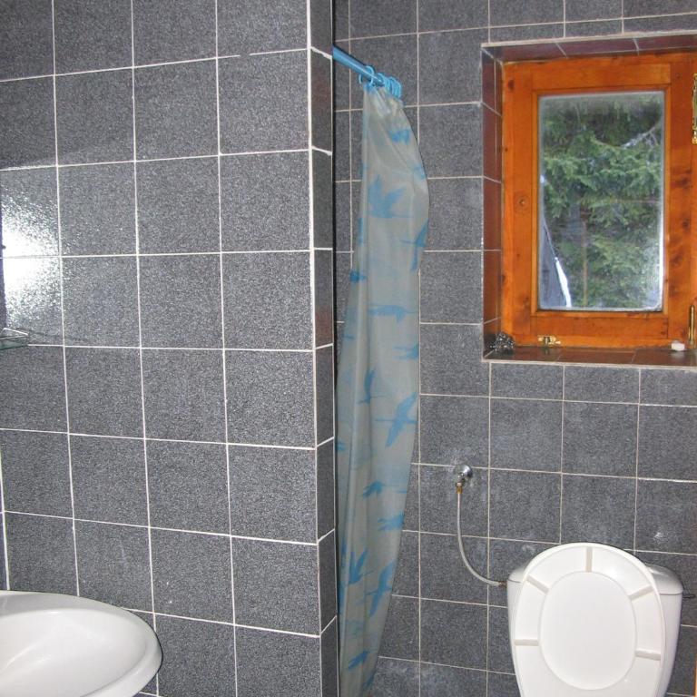 Villa Kostic Kopaonik - Twin Room - 1