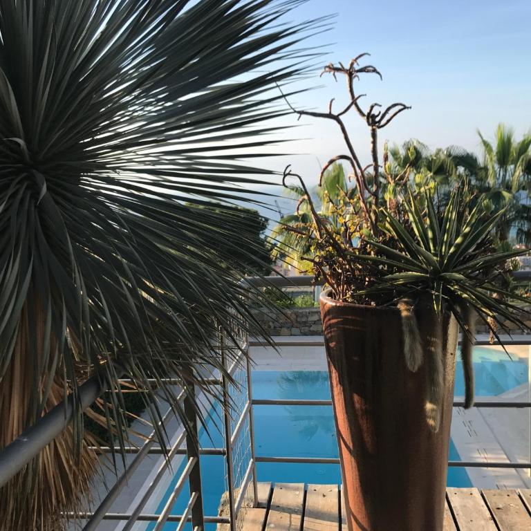 Luxury Sea View Villa Monet with Private Pool - Exclusive Retreat in Bordighera - Villa Deluxe - 8