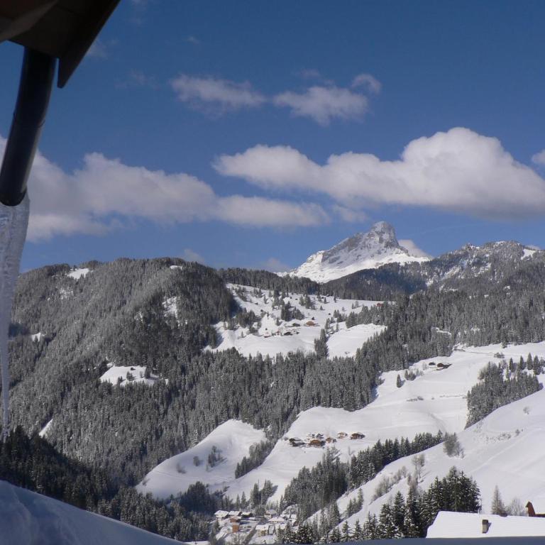 Hotel Alpenrose Dolomites - Junior Suite - 5