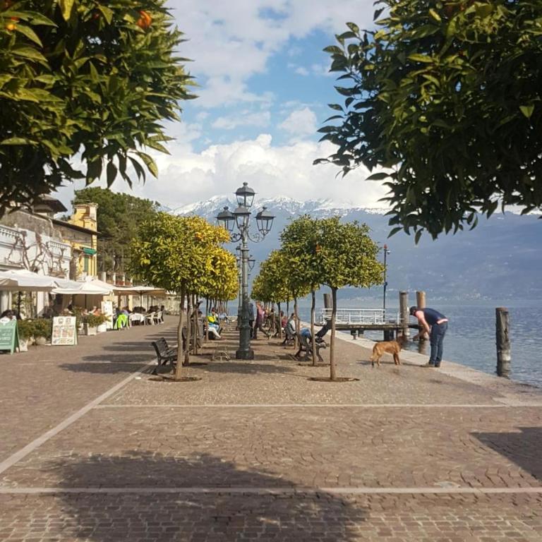Al Lago da Lilly - Appartamento Monolocale - 8