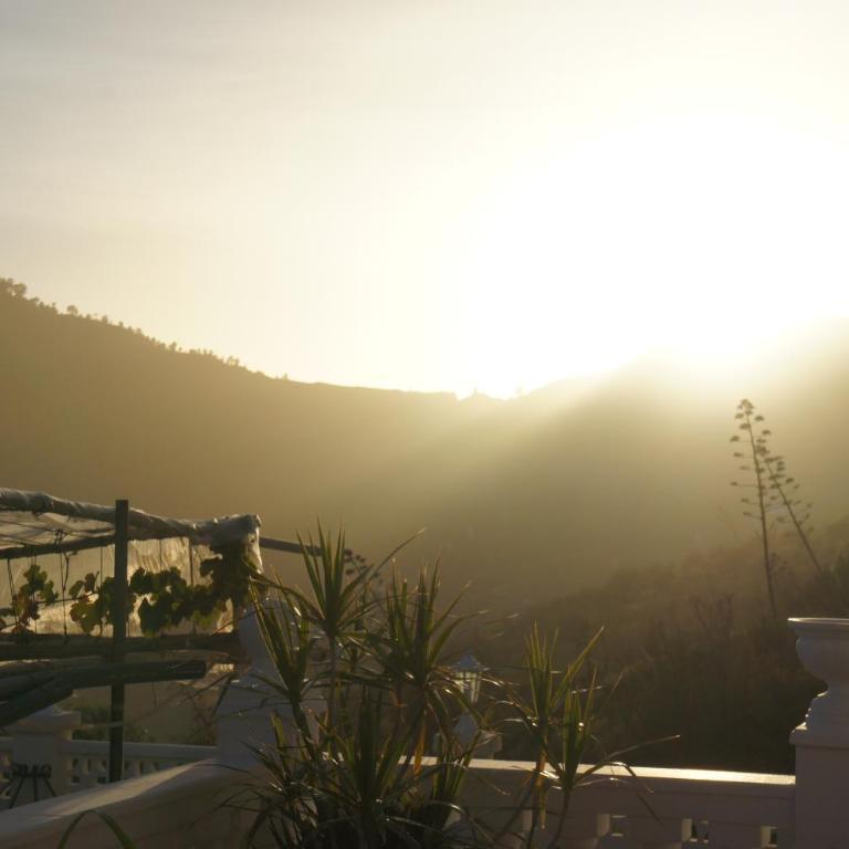 Finca Cortez - One-Bedroom Apartment - 26