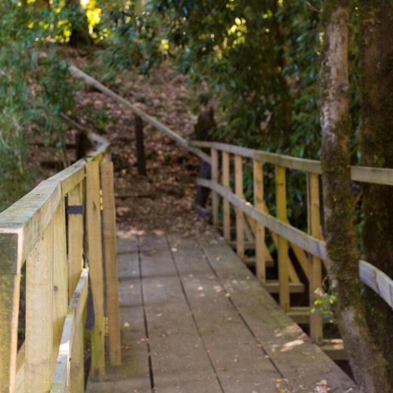 Cabañas Los Canelos Pucon, Hermosa Granja de 20 hectaréas a orillas del Río Liucura - Casa con 1 dormitorio - 12