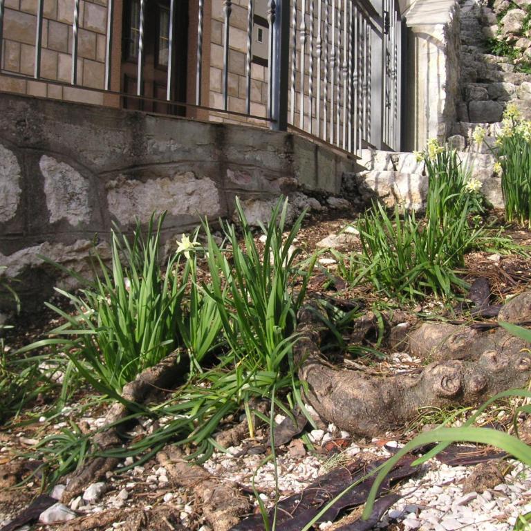 House on the beach - Vikendica - 7