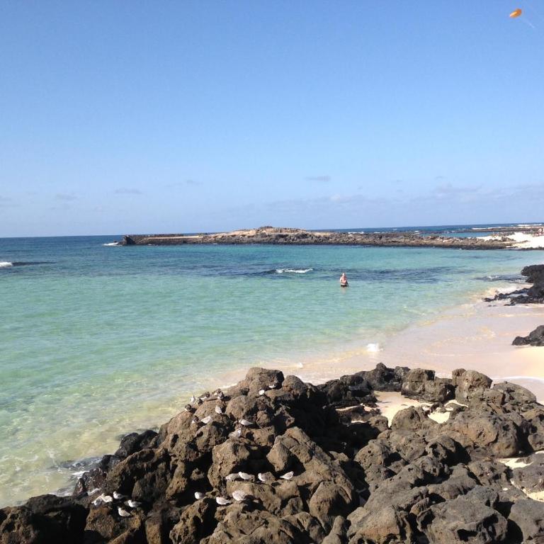 Casa Ilaria Fuerteventura -Wifi free Piscina Olimpionica - Apartamento - 39