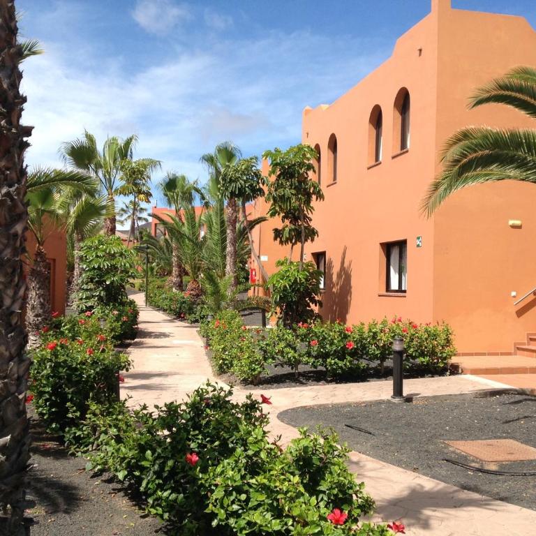 Casa Ilaria Fuerteventura -Wifi free Piscina Olimpionica - Apartamento - 28